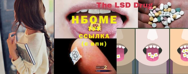 соль ск Алзамай