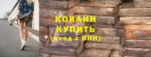 дживик Абаза