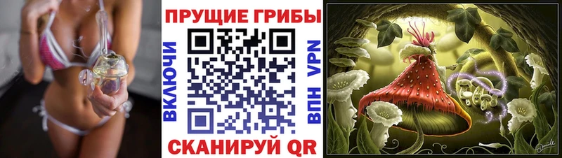 Псилоцибиновые грибы Psilocybine cubensis  кракен зеркало  Зарайск 